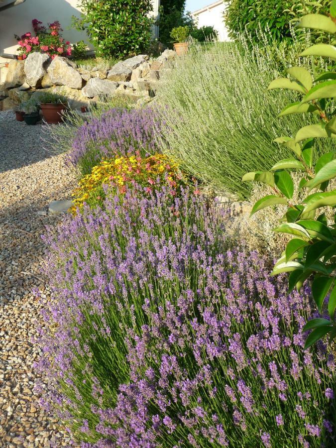 Splendide Vue Pyrenees, Rez De Jardin 2 Montjoie-en-Couserans
